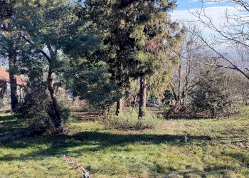 Casa indipendente Via Ruffinengo, 6, Envie - foto 19