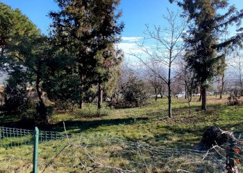 Casa indipendente Via Ruffinengo, 6, Envie - foto 21