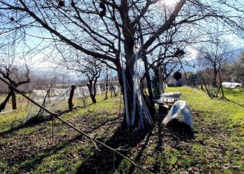 Casa indipendente Via Ruffinengo, 6, Envie - foto 9