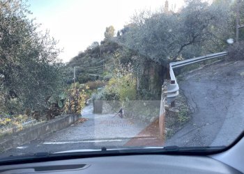 Villa Unifamiliare Sanremo - foto 5