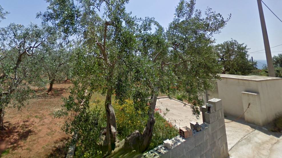 ACCESSO - Agricultural land via Nepole, Morciano di Leuca - photo 1