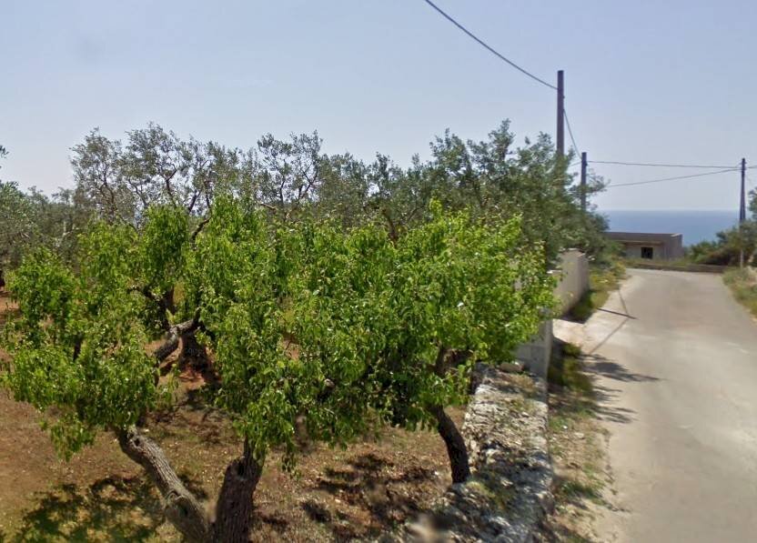 VISTA - Agricultural land via Nepole, Morciano di Leuca - photo 3