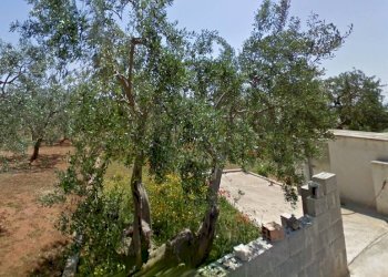 ACCESSO - Terreno agricolo via Nepole, Morciano di Leuca - foto 1