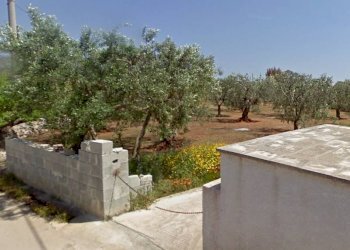 ACCESSO - Terreno agricolo via Nepole, Morciano di Leuca - foto 4