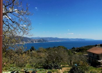 IMG_20210404_135555.jpg - Rustico Santa Margherita Ligure - foto 6