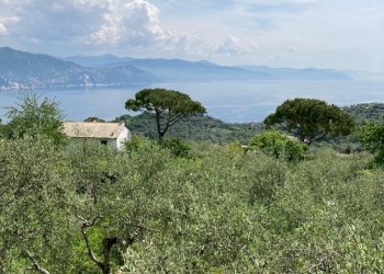 Vista.jpeg - Rustico Santa Margherita Ligure - foto 7