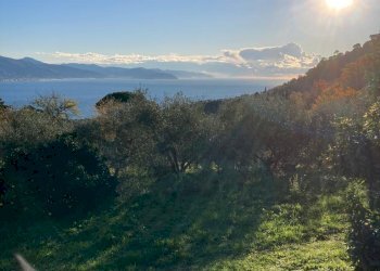 IMG-20230106-WA0025.jpg - Rustico Santa Margherita Ligure - foto 8