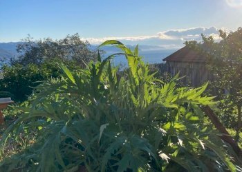 IMG-20230106-WA0026.jpg - Rustico Santa Margherita Ligure - foto 9