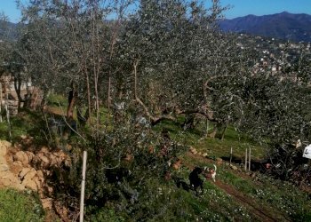 IMG_20210228_101620.jpg - Rustico Santa Margherita Ligure - foto 10