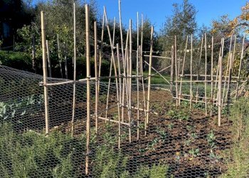 IMG-20230106-WA0028.jpg - Rustico Santa Margherita Ligure - foto 11