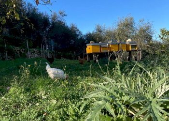 IMG-20230106-WA0037.jpg - Rustico Santa Margherita Ligure - foto 21