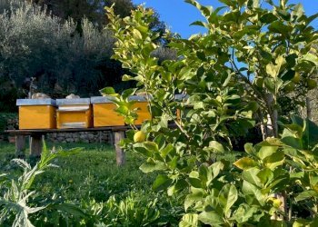 IMG-20230106-WA0036.jpg - Rustico Santa Margherita Ligure - foto 23