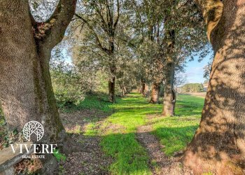 Villa Unifamiliare Via Monteluce, Castiglione del Lago - foto 13