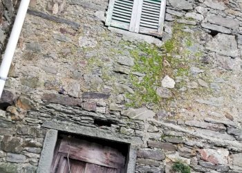 thumbnail_256deb89-76f4-4fa6-b9a8-783f828927f8.jpg - Casa semi indipendente Zeri, Zeri - foto 3