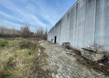 Capannone a Capannori (5).jpg - Locale Commerciale Via di Tiglio S. Margherita, Capannori - foto 3