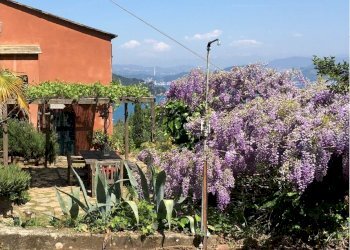 giardino.jpg - Independent house Portovenere - photo 9