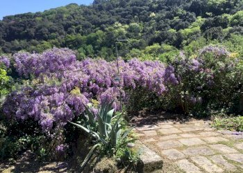 dettagl.jpg - Independent house Portovenere - photo 11