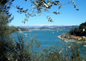 Mare & alpi.JPG.jpg - Independent house Portovenere - photo 17