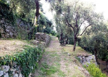 palma9.JPG.jpg - Independent house Portovenere - photo 18
