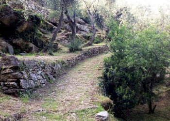 palma12.JPG.jpg - Independent house Portovenere - photo 19