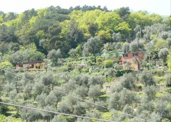 terreno.jpg - Independent house Portovenere - photo 21