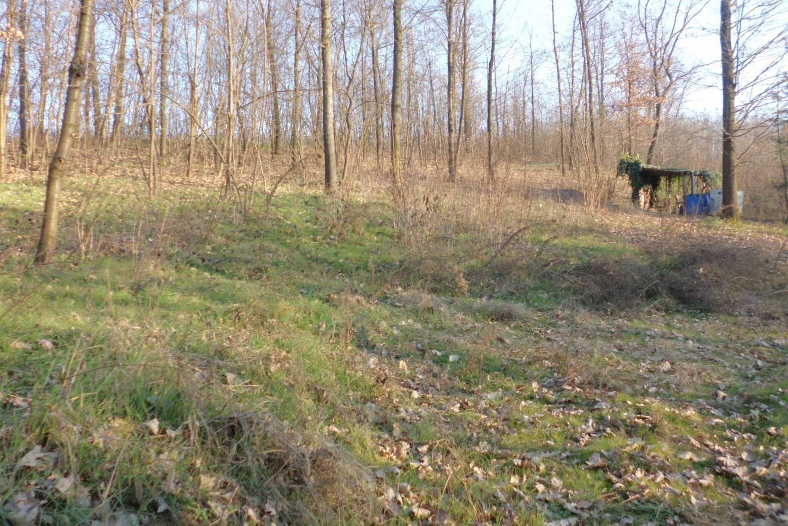 Terreno agricolo strada Vecchia Torino, 98, Bra - foto 1