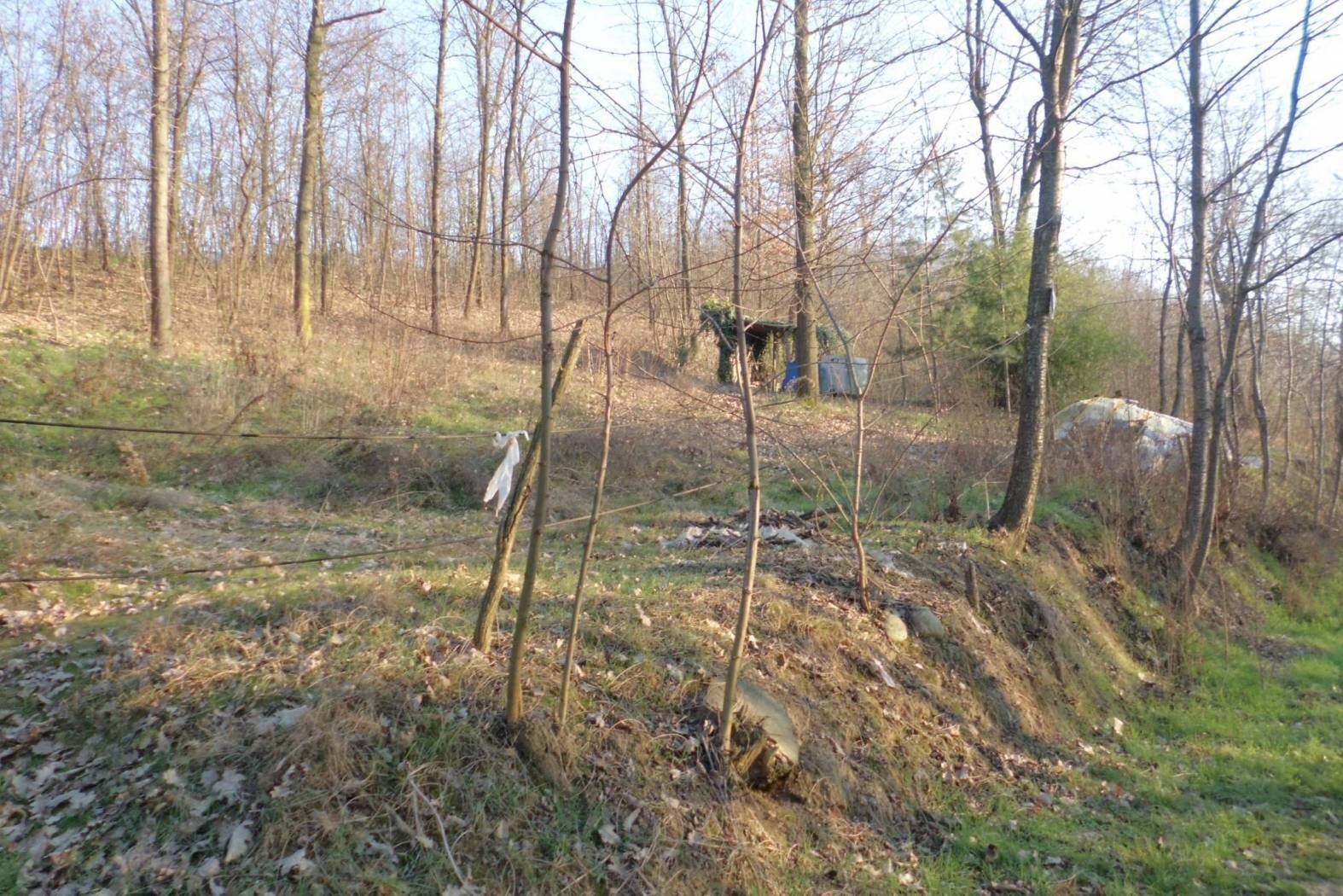 Terreno agricolo strada Vecchia Torino, 98, Bra - foto 2