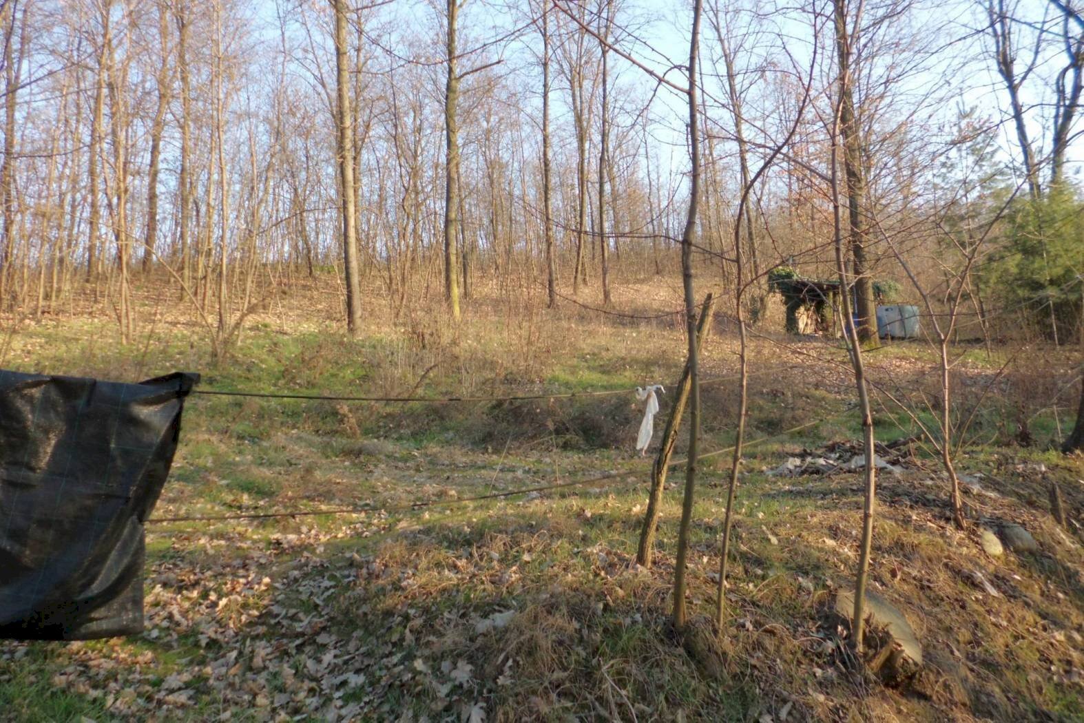 Terreno agricolo strada Vecchia Torino, 98, Bra - foto 3