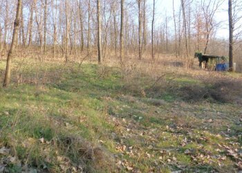 Terreno agricolo strada Vecchia Torino, 98, Bra - foto 1
