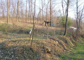 Terreno agricolo strada Vecchia Torino, 98, Bra - foto 2