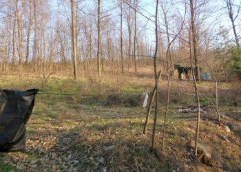 Terreno agricolo strada Vecchia Torino, 98, Bra - foto 3