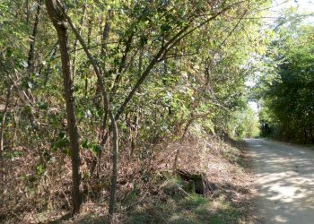Terreno agricolo strada Vecchia Torino, 98, Bra - foto 4