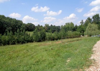 Terreno edificabile strada Terlapini, Bra - foto 1