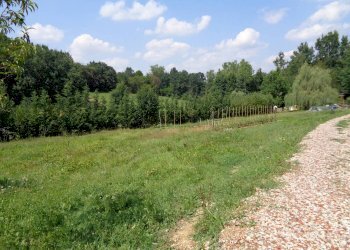 Terreno edificabile strada Terlapini, Bra - foto 4