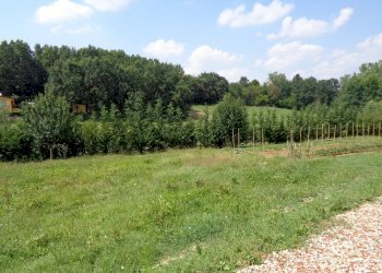 Terreno edificabile strada Terlapini, Bra - foto 5