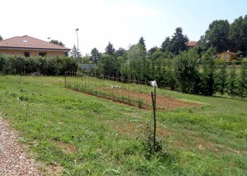 Terreno edificabile strada Terlapini, Bra - foto 6