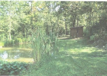 Terreno edificabile strada Terlapini, Bra - foto 10