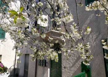 WhatsApp Image 2022-05-25 at 09.15.20.jpeg - Bilocale via crociata snc, Sarzana - foto 12