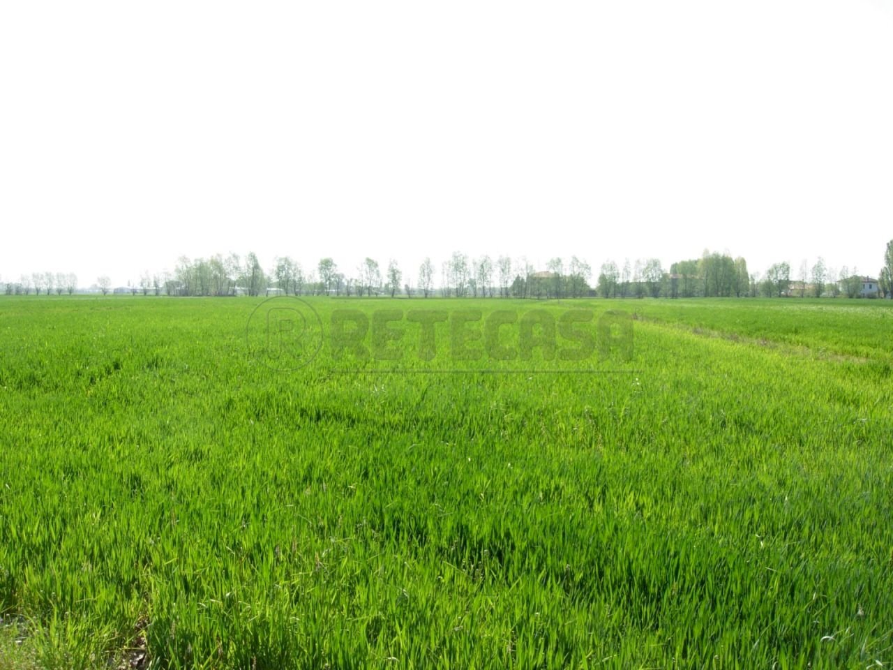 Terreno agricolo - Agricultural land Montecchio Maggiore - photo 1