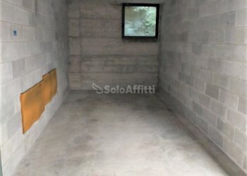 IMG20200910095841.jpg - Box Via Ivo Oliveti 4, Seregno - foto 2