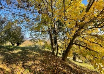 Casa indipendente San Pietro di Feletto - foto 9