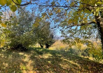 Casa indipendente San Pietro di Feletto - foto 10