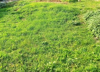 Dimora Storica Revine Lago - foto 21