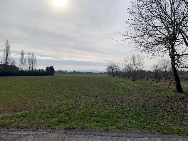 Terreno agricolo Reggio nell'Emilia - foto 2