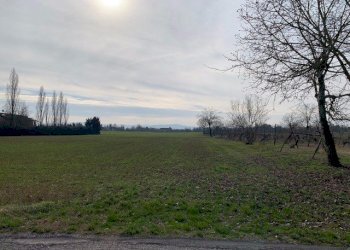 Terreno agricolo Reggio nell'Emilia - foto 2