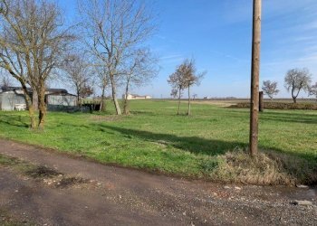 Terreno agricolo Reggio nell'Emilia - foto 6