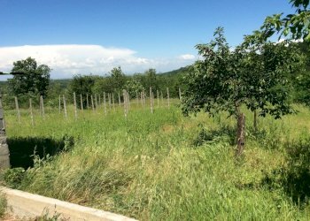 Casa indipendente Asti - foto 5