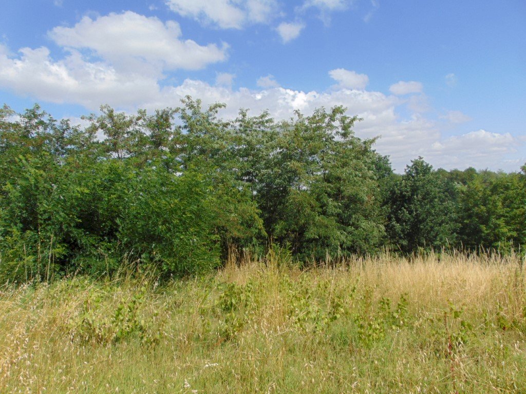 Casa indipendente Asti - foto 3