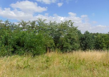 Casa indipendente Asti - foto 3