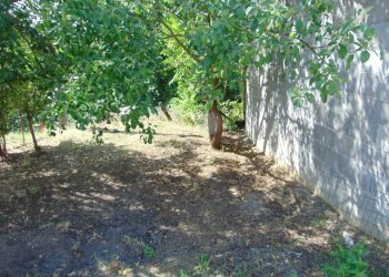 Casa indipendente Asti - foto 6